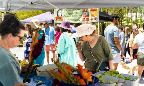 people congregating at an outdoor farmers market